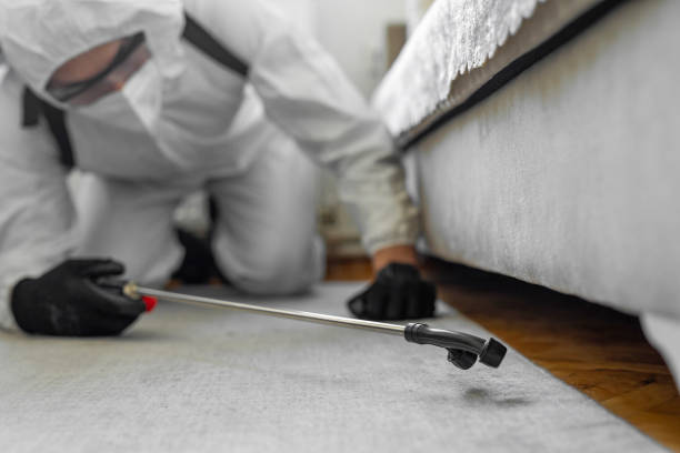 Professional Wasp Control technician working in Country Squire Lakes, IN