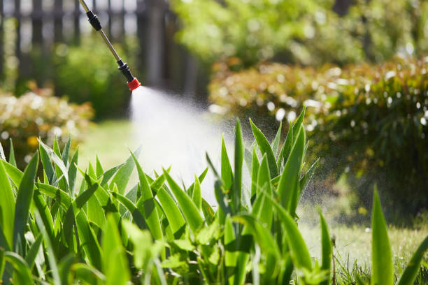 24/7 Emergency Mosquito Control experts in Country Squire Lakes, IN