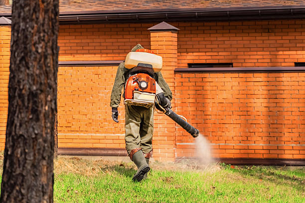 Trusted Termite Control service in Country Squire Lakes, IN - Nex Pest Control